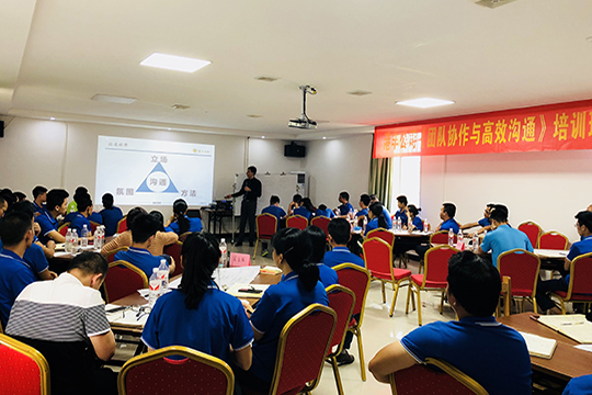 港丰公司-团队协助与高效沟通